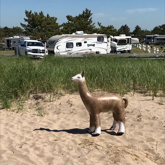 Meet your Posher, Pam - Picture 6 of 8